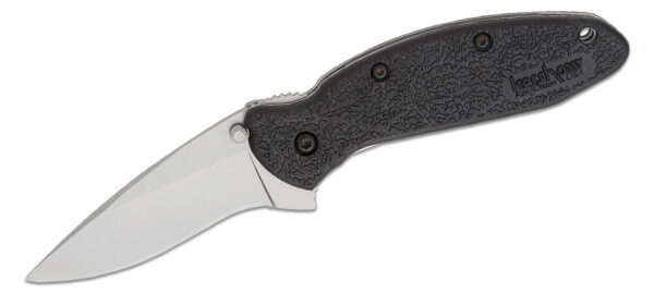 Kershaw (1620) "Scallion" Assisted Folder, 2.25" 420HC Bead Blasted Modified Drop Point Blade, Black Glass Filled Nylon Handle, Liner Lock